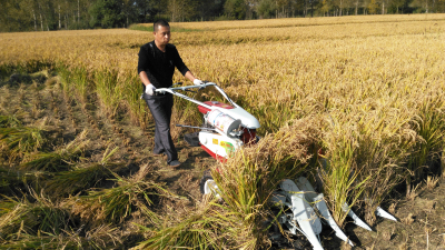水稻割捆機(jī)使用前的注意事項(xiàng) 水稻割捆機(jī)使用前的注意事項(xiàng)